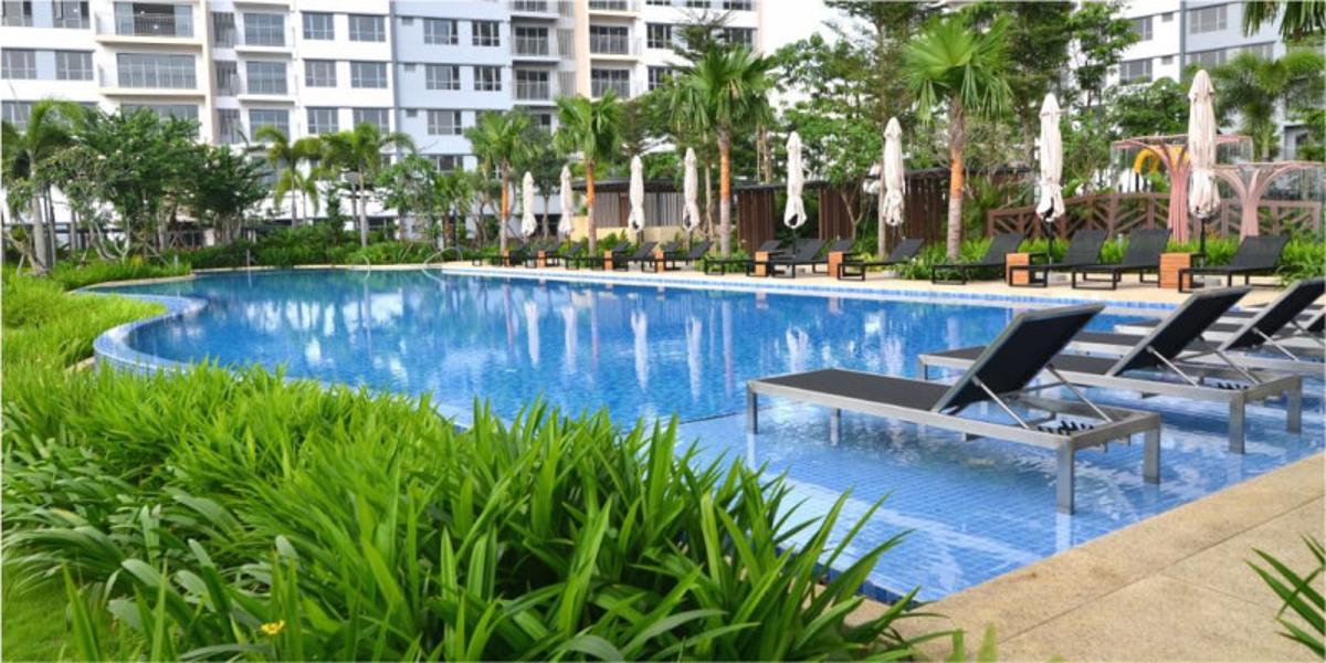 Hồ bơi dự án Palm Heights