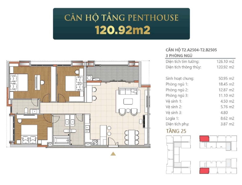 Mặt bằng Căn Penthouse
