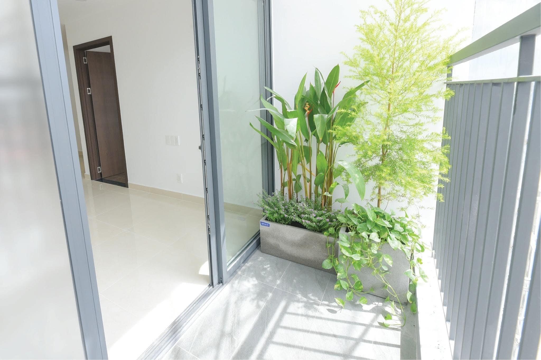 Căn hộ mẫu dự án Phú Đông Sky Garden