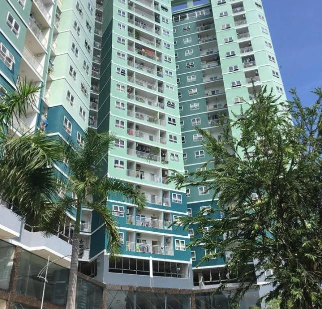 Nội khu dự án 8x Đầm Sen