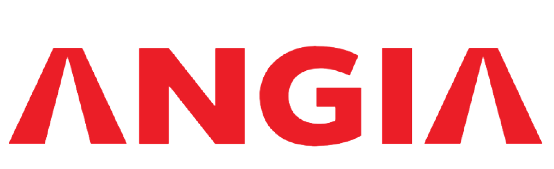 An Gia Investment