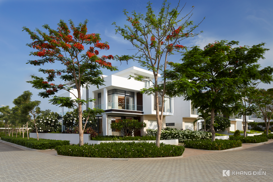 Dự án Lucasta Villa